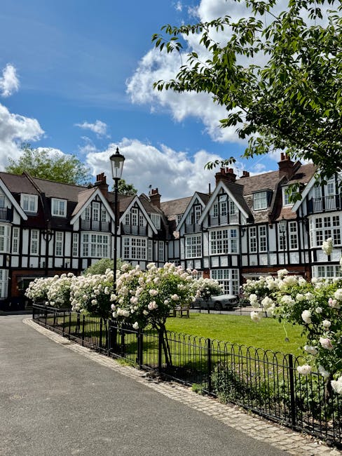 A vibrant floral scene in front of a row of historic, black-and-white timber-framed houses with steep gabled roofs, featuring a well-maintained garden area adorned with lush white roses. The garden is